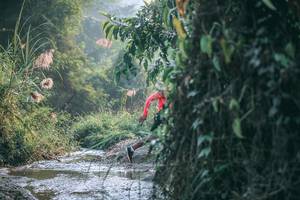 BIB: 
                            <button type="button" onclick="openModal(13716886)" class="btn btn-primary btn-sm float-right btn-popup" data-toggle="modal" data-target=".modal-high-quality">
                        <i class="fas fa-shopping-cart"></i> Add to Cart
                    </button>
                                            <button type="button" onclick="isThisMe(13716886, true)" class="btn btn-success btn-sm float-right btn-popup btn-isme hidden" data-toggle="tooltip" data-placement="bottom" title="นี่คือรูปของคุณใช่ไหม คลิกที่นี่เพื่อเอาเข้าอัลบั้ม">
                        <i class="fas fa-plus"></i> Add to album
                    </button>
                    <button type="button" onclick="isThisMe(13716886, false)" class="btn btn-warning btn-sm float-right btn-popup btn-isnotme hidden">
                        <i class="fas fa-ban"></i> Remove from album
                    </button>